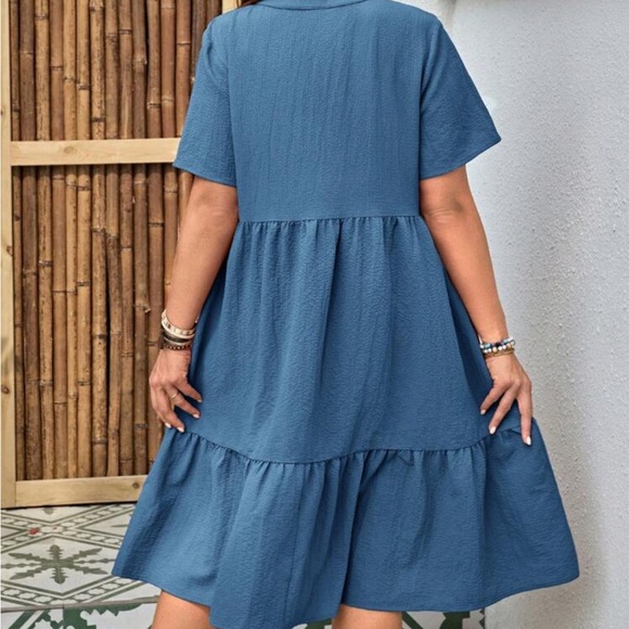 Blue Ruffle Button Dress - Picture 2 of 2
